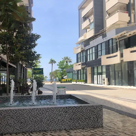 Jordan's 3* Vlore
